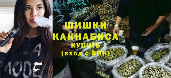 дурь Алексин