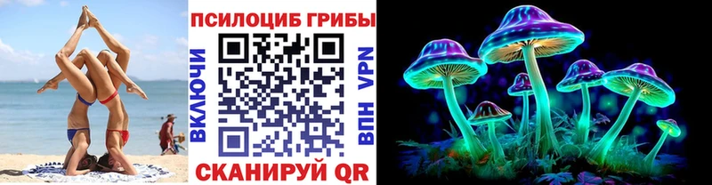Псилоцибиновые грибы Psilocybe  хочу   MEGA ТОР  Пучеж 